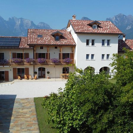 Corte Varola B&B Zia Marisa Belluno Exterior foto